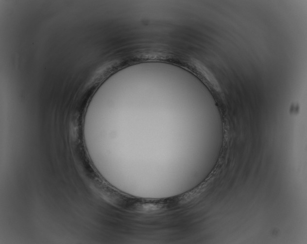 X0000090410163200707130932