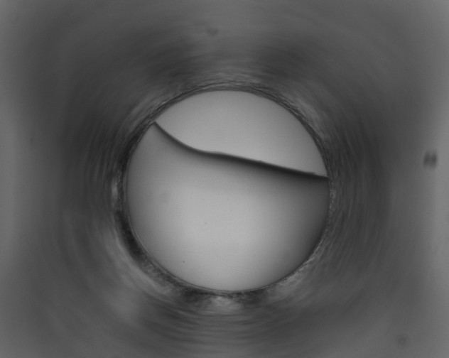 X0000090410166200707130932