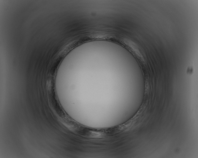X0000090410167200707130932