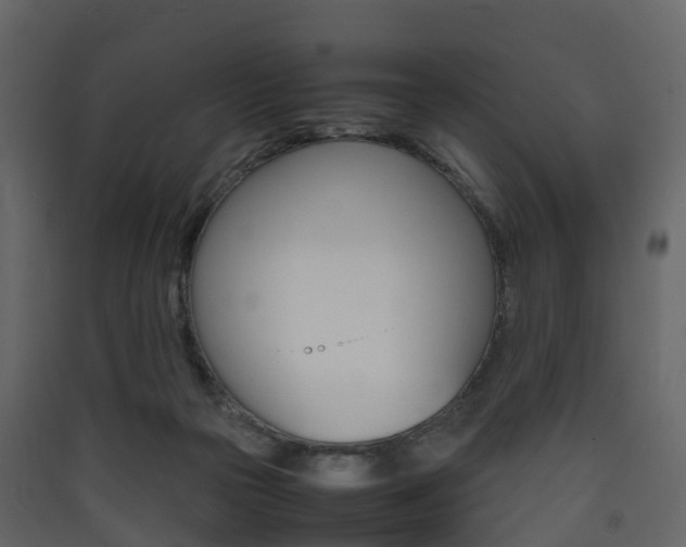 X0000090410169200707130933