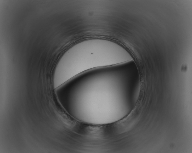 X0000090410170200707130933