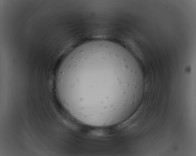 X0000090410171200707130933