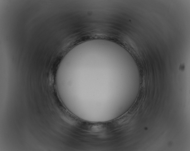 X0000090410173200707130933