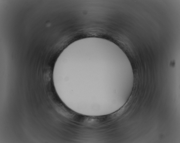 X0000090410174200707130933