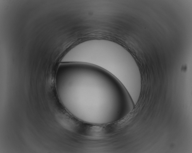 X0000090410176200707130933