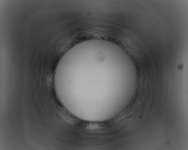 X0000090410177200707130933