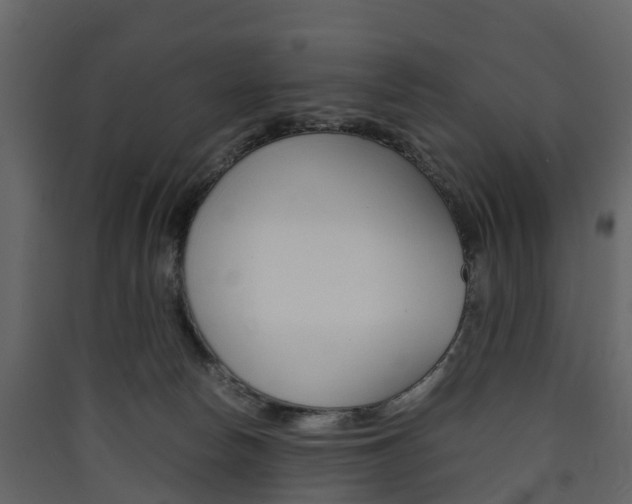 X0000090410178200707130933