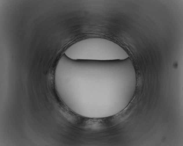 X0000090410179200707130933