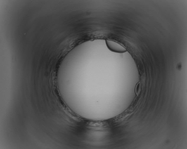 X0000090410181200707130933