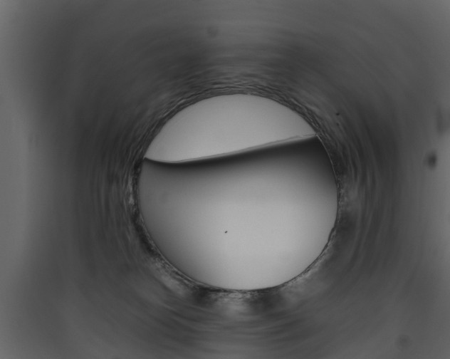 X0000090410182200707130933
