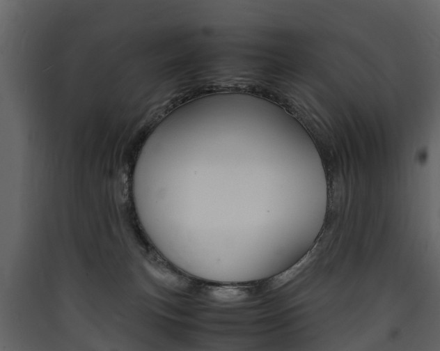 X0000090410183200707130933