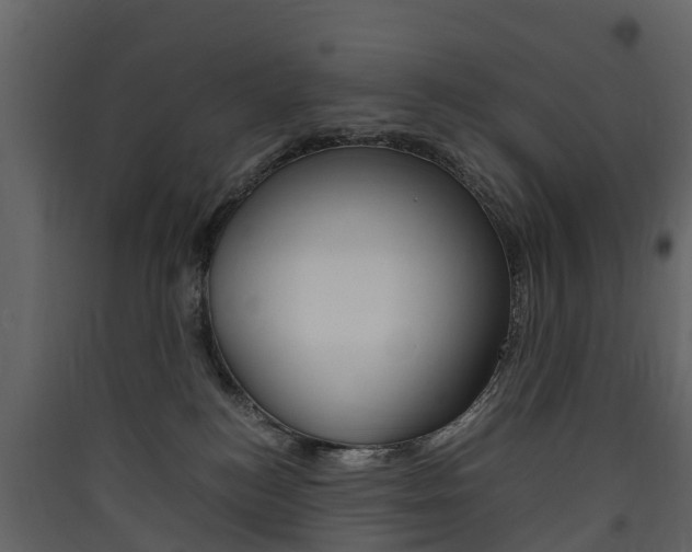 X0000090410184200707130933