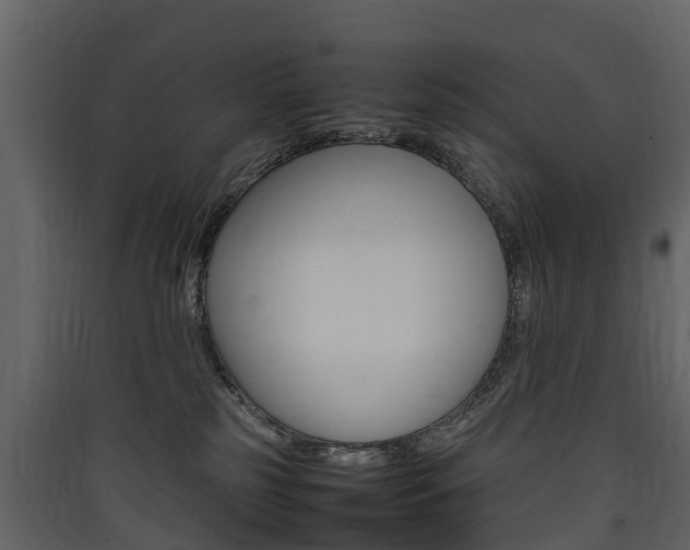 X0000090410185200707130933