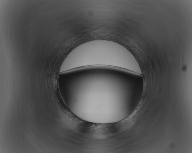 X0000090410186200707130933