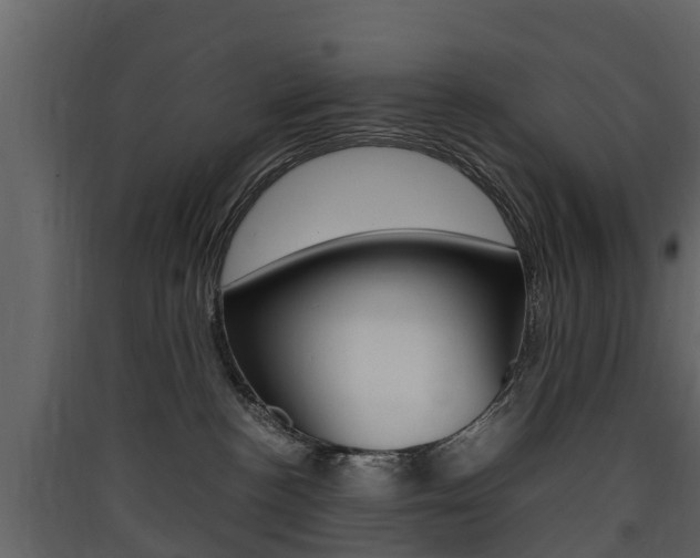 X0000090410188200707130933
