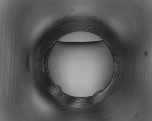 X0000090410191200707130933
