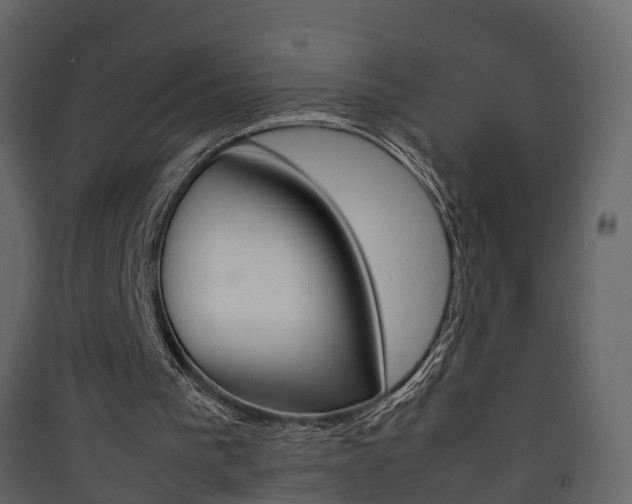 X0000090410193200707130932