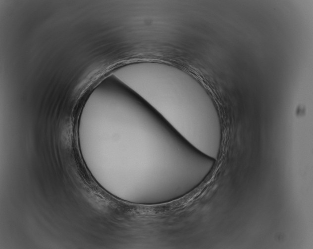 X0000090410194200707130932