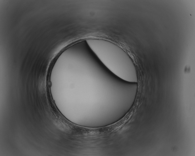X0000090410196200707130932