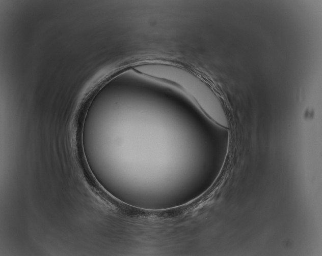 X0000090410197200707130932