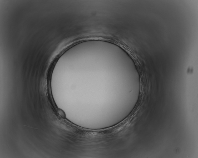 X0000090410198200707130932