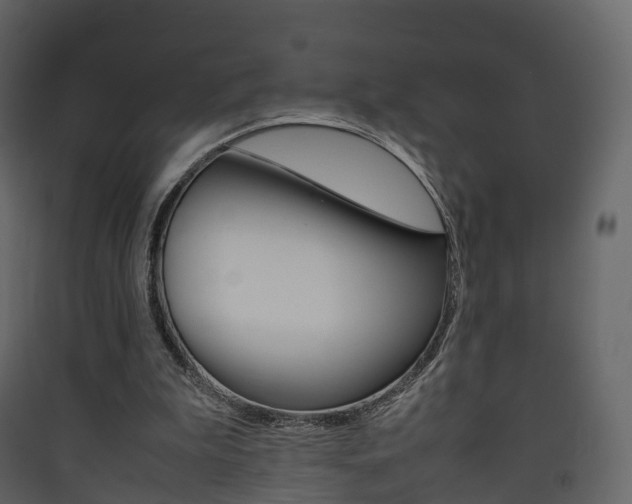 X0000090410199200707130932
