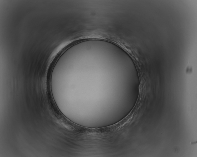 X0000090410200200707130932