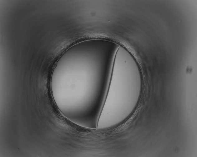 X0000090410201200707130932