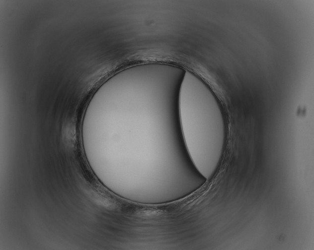 X0000090410202200707130932