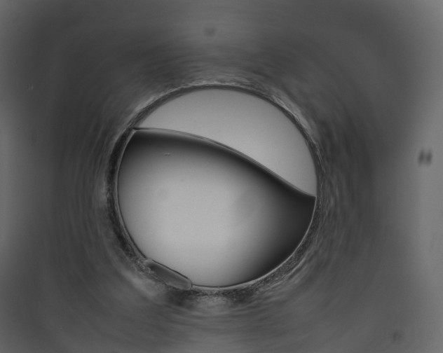 X0000090410203200707130932