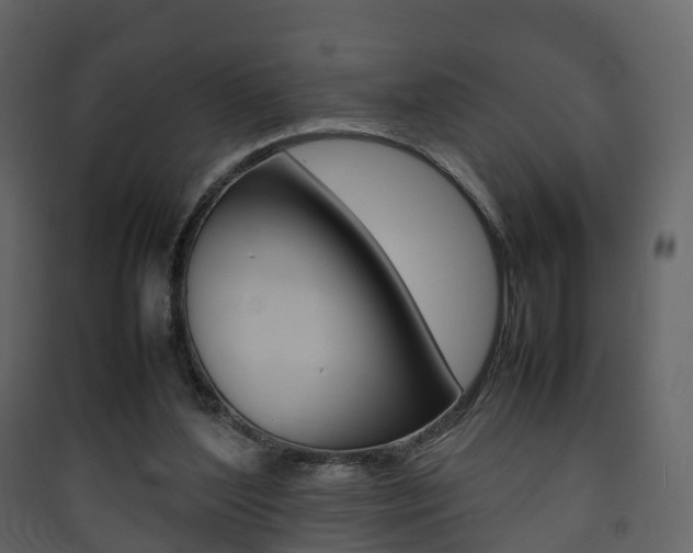 X0000090410204200707130932
