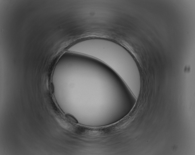 X0000090410205200707130932