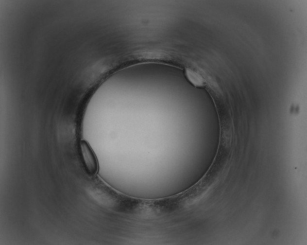 X0000090410207200707130932
