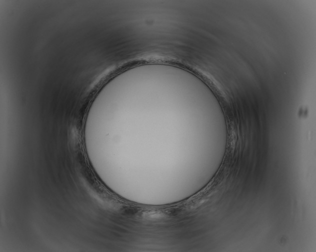 X0000090410208200707130932