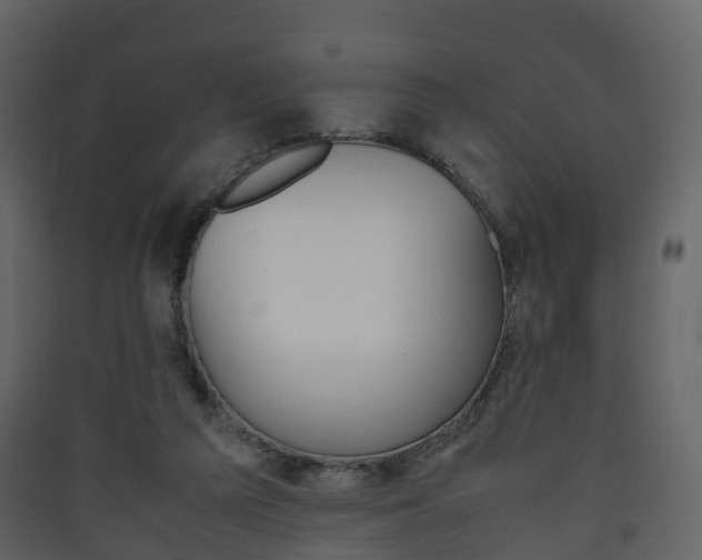 X0000090410209200707130932