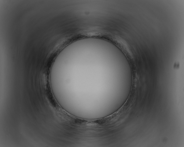 X0000090410210200707130932