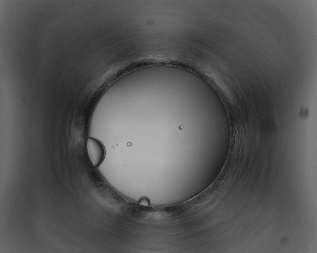 X0000090410212200707130932