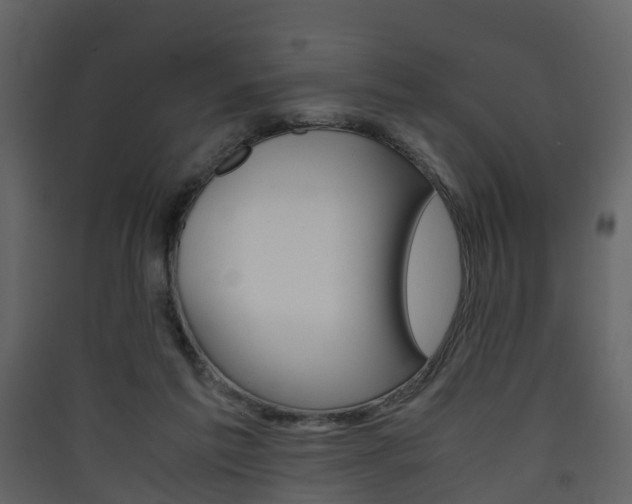 X0000090410213200707130932