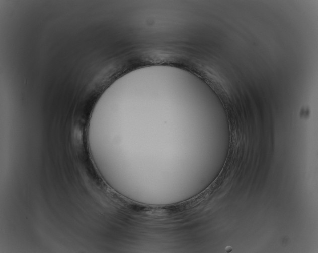 X0000090410214200707130932
