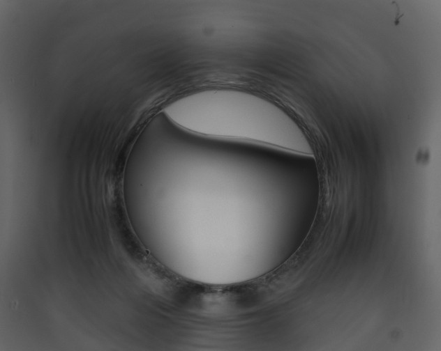 X0000090410216200707130932
