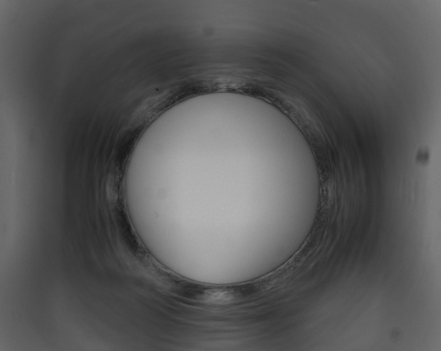X0000090410218200707130932
