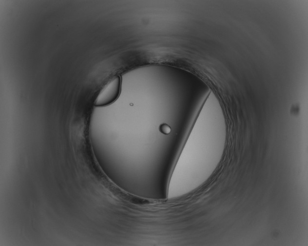X0000090410219200707130932