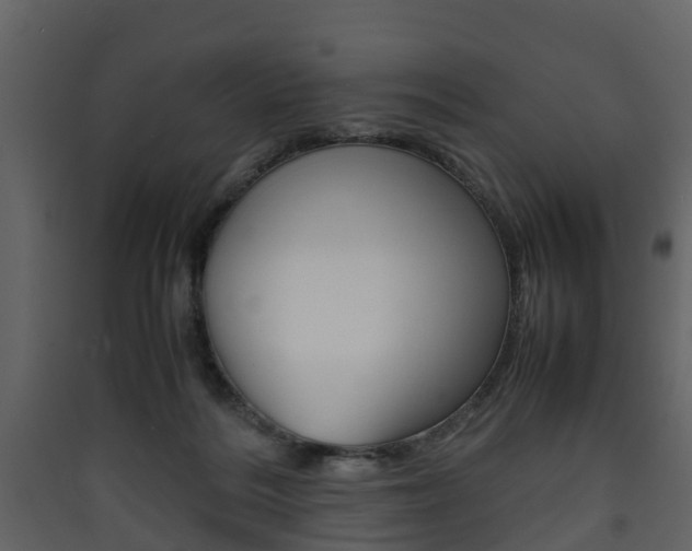 X0000090410220200707130932