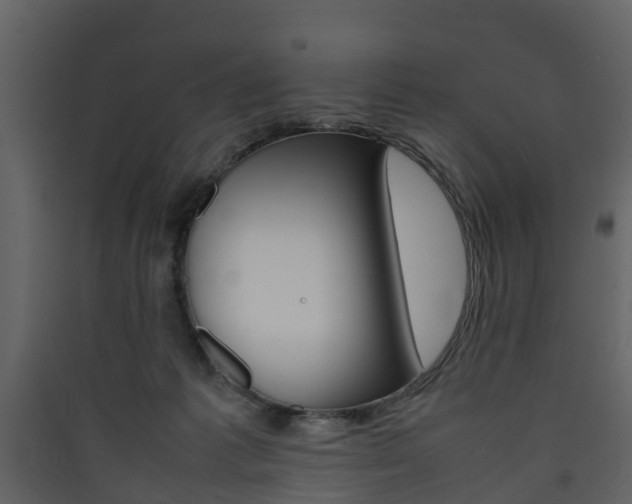 X0000090410221200707130932