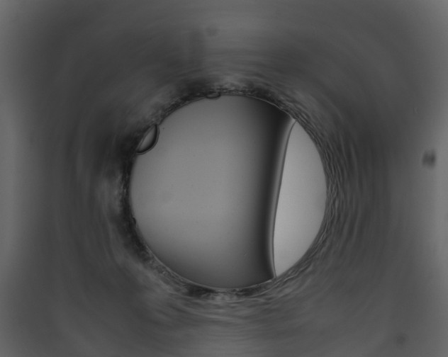X0000090410223200707130932
