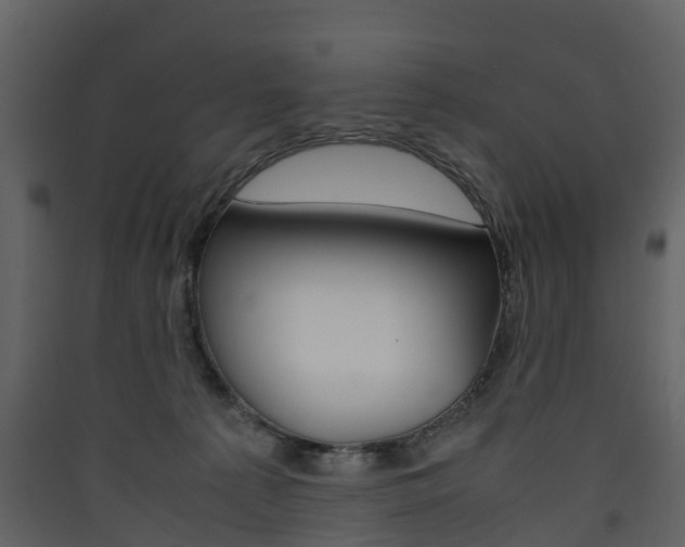 X0000090410225200707130932
