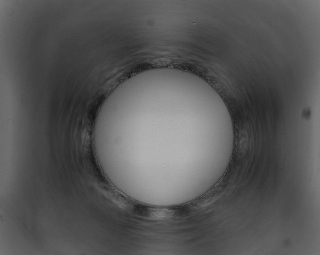 X0000090410226200707130932