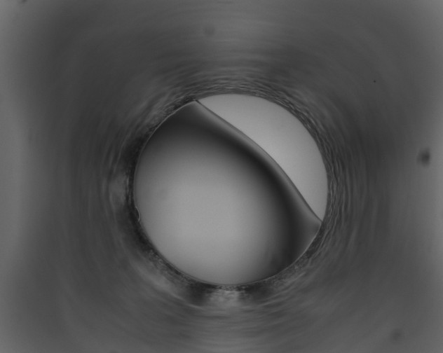 X0000090410227200707130932