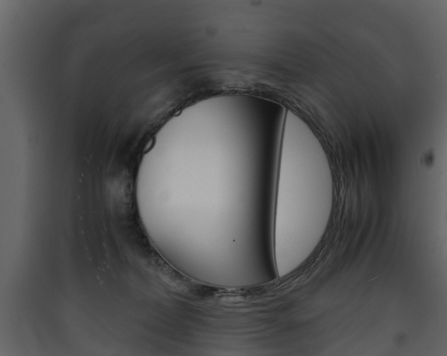 X0000090410228200707130932