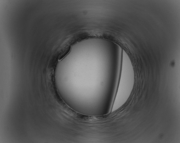 X0000090410229200707130932